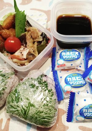 高１！男子弁当！豚こま味噌新生姜炒め34-レシピのメイン写真