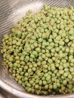 実山椒の下処理の方法★我が家流(メモ)-レシピのメイン写真