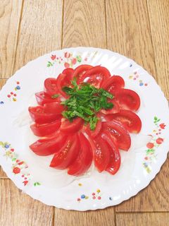 簡単◎さっぱり!新玉ねぎとトマトのサラダ-レシピのメイン写真
