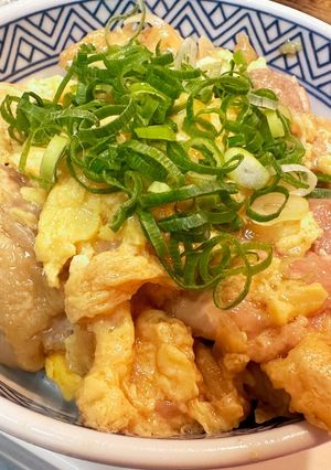 フライパンで簡単、マルっと親子丼-レシピのメイン写真