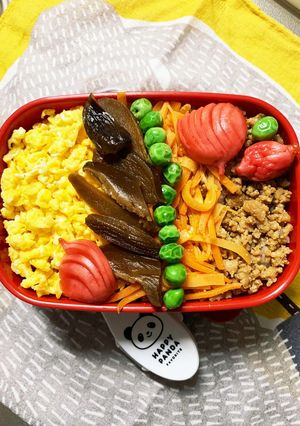 6/9ﾖｯﾁｬﾝそぼろお弁当-レシピのメイン写真