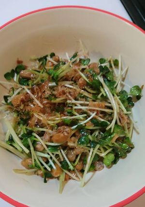 簡単!旨い!かいわれ納豆おかかわさぽん♪-レシピのメイン写真