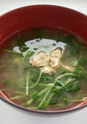 （健康づくり）あさりと豆苗の味噌汁-レシピのメイン写真