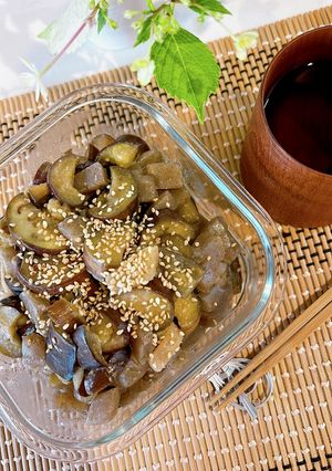 腸活レシピ♡塩麹で作るなすとこんにゃく煮-レシピのメイン写真