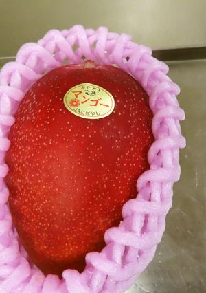 種に付いたマンゴーの実★きれいに取れます-レシピのメイン写真