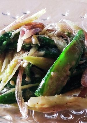 みょうがとオクラの胡麻和え★夏野菜弁当-レシピのメイン写真