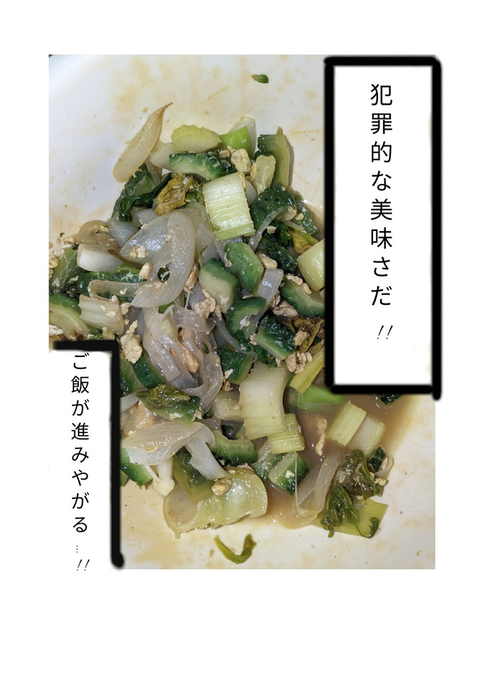 ゴーヤと各種野菜の卵炒め-レシピのメイン写真