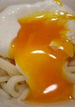讃岐うどんとろ玉-レシピのメイン写真