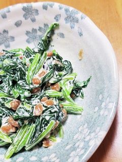 ほうれん草の納豆和え-レシピのメイン写真
