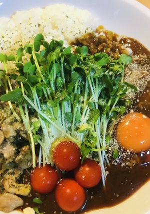 レトルト●豚肉さっと炒めのポークカレーⅡ-レシピのメイン写真