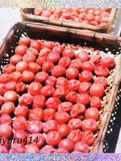 ジップロックde梅干し-レシピのメイン写真