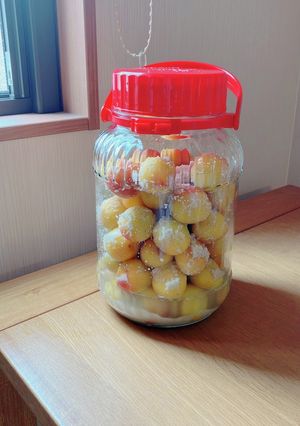 母直伝の塩分控えめ梅干し-レシピのメイン写真