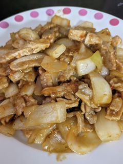 タマネギと豚のピリ辛炒め-レシピのメイン写真