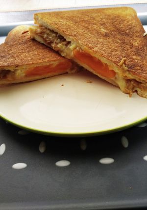 お好み焼き味のホットサンド-レシピのメイン写真