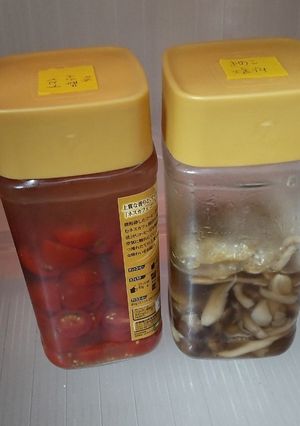 特売野菜の塩漬け保存食-レシピのメイン写真