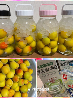 梅酒(2023)-レシピのメイン写真
