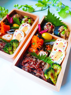 女子学生のお弁当(2023.6.12)-レシピのメイン写真
