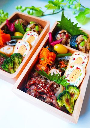 女子学生のお弁当(2023.6.12)-レシピのメイン写真