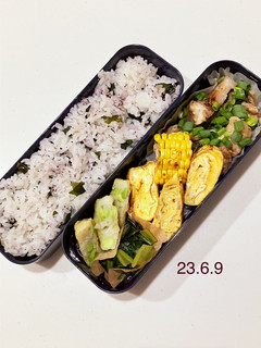男子中学生のお弁当 171-レシピのメイン写真