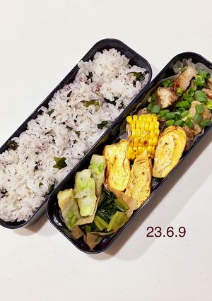 男子中学生のお弁当 171-レシピのメイン写真