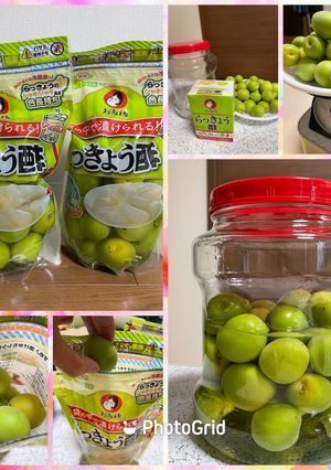 らっきょう酢梅（2023）-レシピのメイン写真