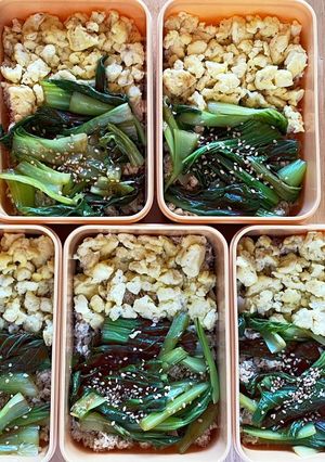 2色弁当-レシピのメイン写真