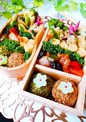 女子学生のお弁当（2023.6.13）-レシピのメイン写真