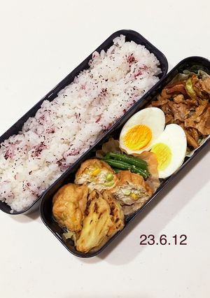 男子中学生のお弁当 173-レシピのメイン写真