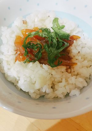 鯛(他の魚でもok)の漬け丼　鯛茶漬け風-レシピのメイン写真