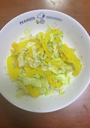 キャベツとパプリカの簡単サラダ-レシピのメイン写真