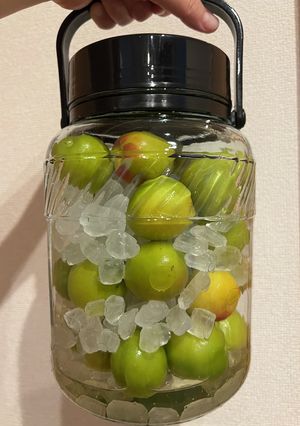 夏の疲労回復⭐︎梅シロップ-レシピのメイン写真