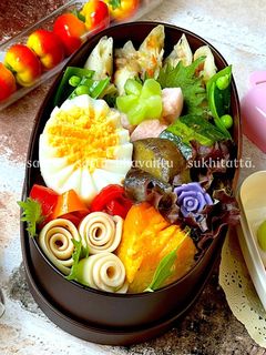 令和五年 水無月十四日 お弁当-レシピのメイン写真