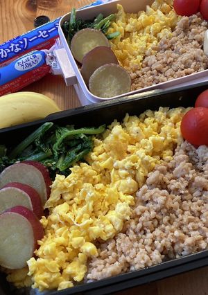高校生男子弁当334 女子弁当40-レシピのメイン写真