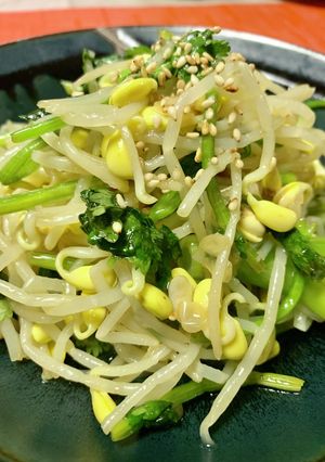 豆もやしとパクチーのエスニックナムル-レシピのメイン写真