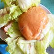 前期高齢者用タンパク質摂取サンドイッチ