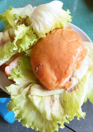 前期高齢者用タンパク質摂取サンドイッチ-レシピのメイン写真
