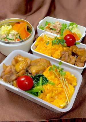 鶏照りたまのっけ弁-レシピのメイン写真