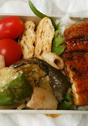 お弁当2023.6.15-レシピのメイン写真