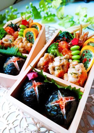 女子学生のお弁当（2023.6.15）-レシピのメイン写真