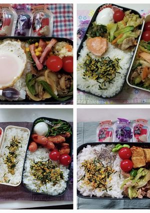 6.8～13のお弁当-レシピのメイン写真
