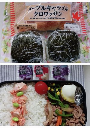 野菜炒め弁当&おにぎり弁当(6.15)-レシピのメイン写真