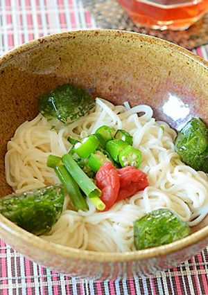 青じそを氷に閉じ込めてひんやり麺♪-レシピのメイン写真