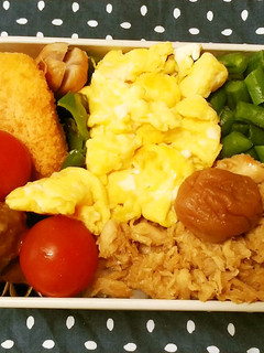お弁当2023.6.16-レシピのメイン写真
