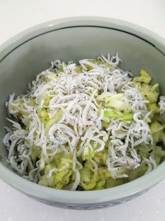 キャベツのしらす乗せサラダ-レシピのメイン写真
