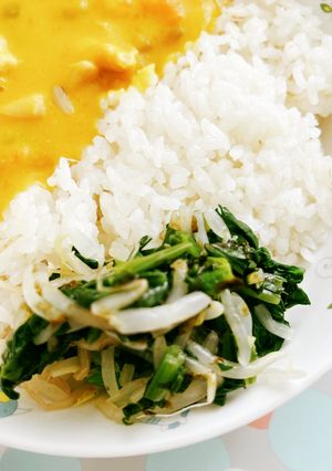 【保育園給食】青菜とのりのサラダ-レシピのメイン写真