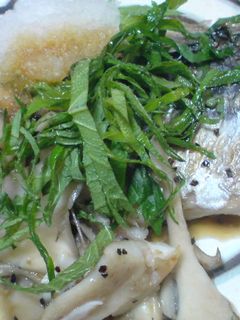 あっさり☆さごし(さわら)の酒蒸し焼き-レシピのメイン写真