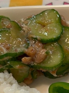 梅納豆きゅうり-レシピのメイン写真