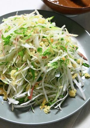 すったて（川島うどん）の具のサラダ-レシピのメイン写真