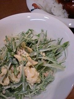 水菜のサラダ-レシピのメイン写真