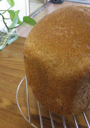 黄金比率の全粒粉食パン　ＨＢでふわふわ-レシピのメイン写真